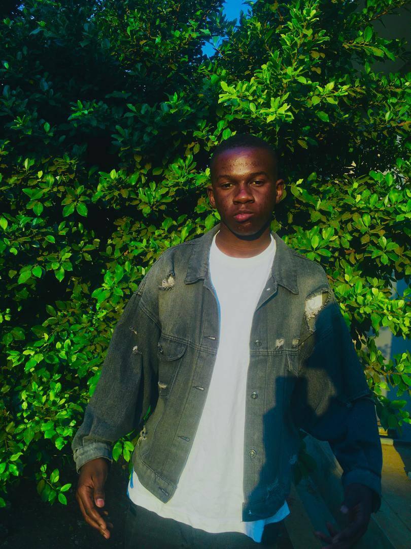 Davie Mpeketula - Professional Developer